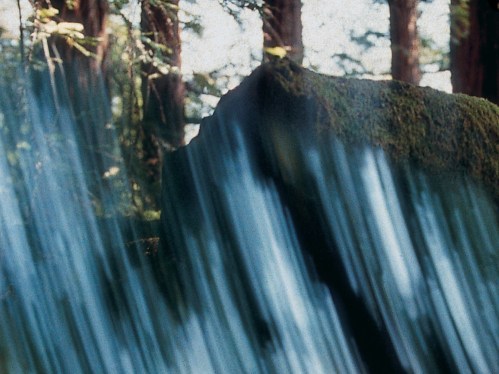 Film still from Daria Martin's Minotaur, 2008. Courtesy of the artist and Maureen Paley, London.